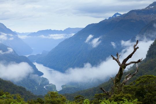 Doubtful Sound