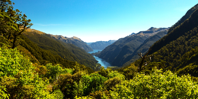 Doubtful Sound