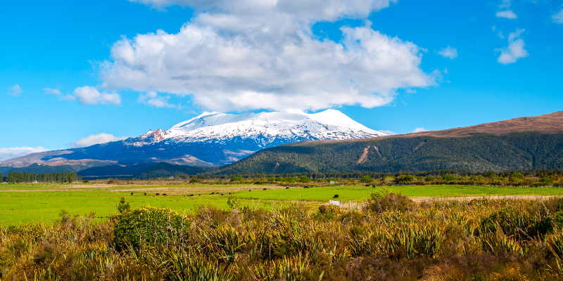 Tongariro